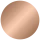 Y1231CP