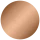 Y1231CPB