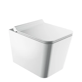 wall-mounted toilet with soft-close seat, 53 x 36 cm