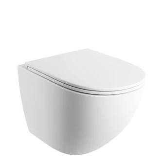 wall-mounted toilet with soft-close seat, 54 x 37 cm