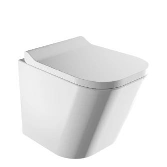 wall-mounted toilet with soft-close seat, 49 x 35 cm