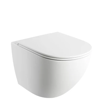 wall-mounted toilet with soft-close seat, 49 x 37 cm