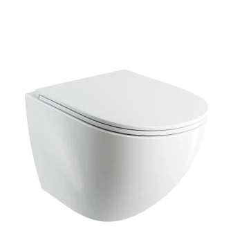 cuvette de WC murale avec abattant frein de chute, 54 x 37 cm