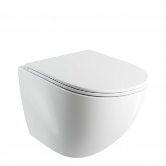 rimless wall-mounted toilet with soft-close seat, 54 x 37 cm
