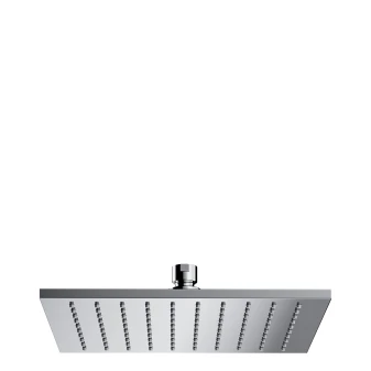 shower head, 25 x 25 cm