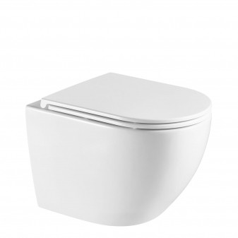 rimless wall-mounted toilet with soft-close seat, 54 x 37 cm