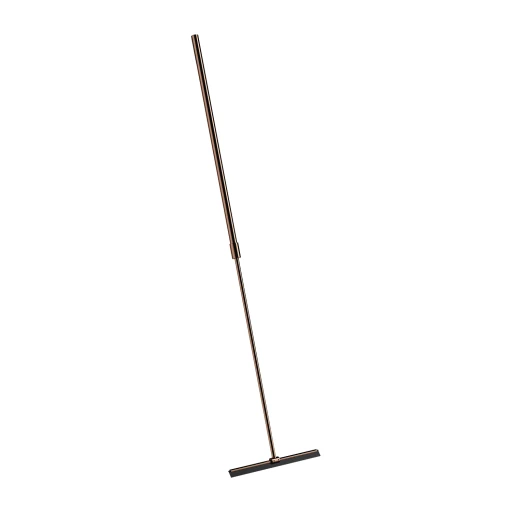 shower squeegee with telescopic handle