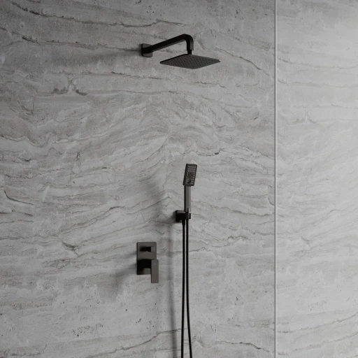 shower system for concealed installation