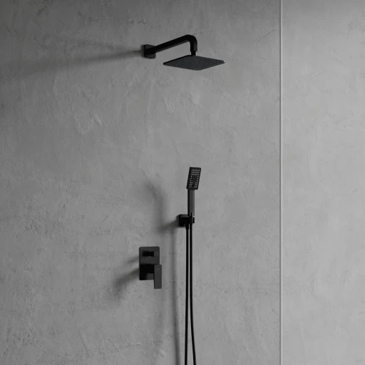 shower system for concealed installation