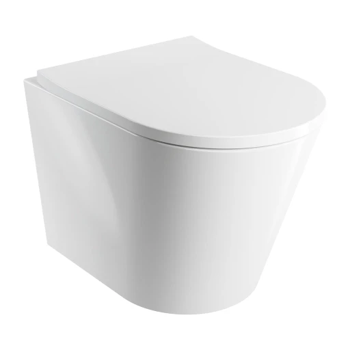 cuvette de WC murale avec abattant frein de chute, 52 x 36 cm