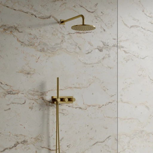 shower system for concealed installation