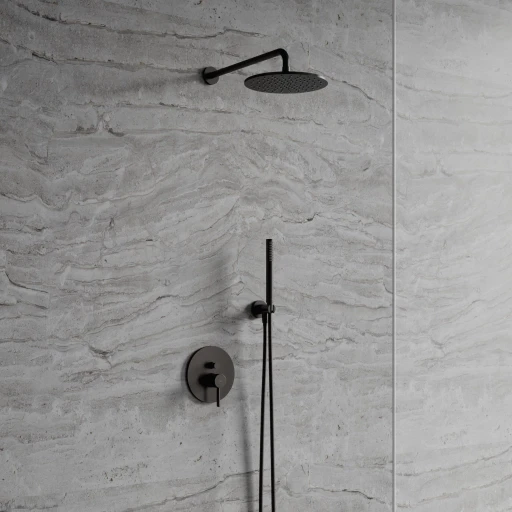 shower system for concealed installation