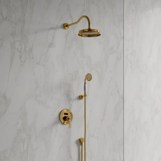 shower system for concealed installation