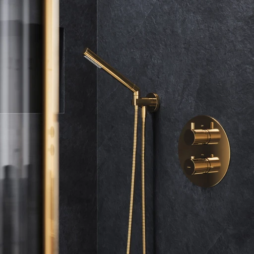 coude du pommeau de douche