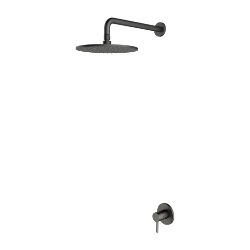 shower system for concealed installation