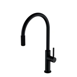 kitchen tap with a water filtering system