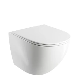 cuvette de WC murale avec abattant frein de chute, 49 x 37 cm
