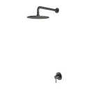 shower system for concealed installation