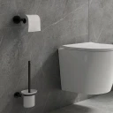wall-mounted toilet brush