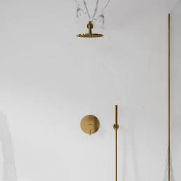 shower system for concealed installation