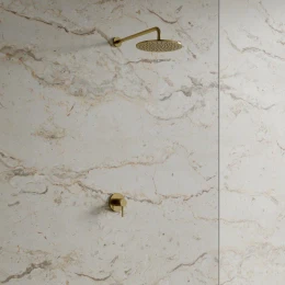 shower system for concealed installation