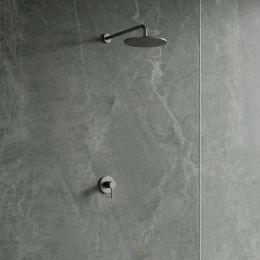 shower system for concealed installation