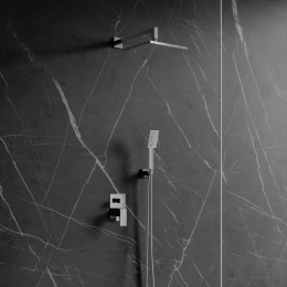 shower system for concealed installation