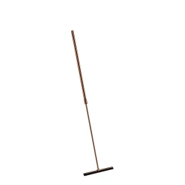 shower squeegee with telescopic handle