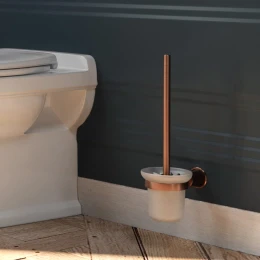 wall-mounted toilet brush
