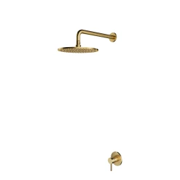 shower system for concealed installation