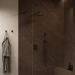 shower system for concealed installation
