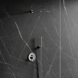 shower system for concealed installation