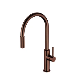 kitchen tap with pull-out spout with water filtering system