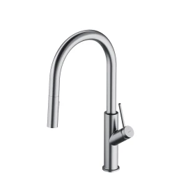 kitchen tap with pull-out spout