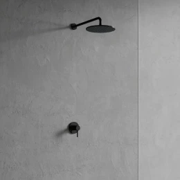 shower system for concealed installation