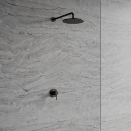 shower system for concealed installation