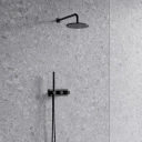 shower system for concealed installation