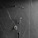 shower system for concealed installation