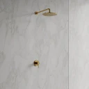 système de douche à encastrer