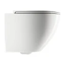 wall-mounted toilet with soft-close seat, 49 x 37 cm