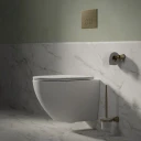 STRONGFRAME Vorwandelement mit ECO-Spülung für Wand-WC + STEEL-R45 WC-Betätigungsplatte aus Edelstahl