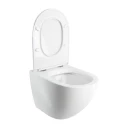 cuvette de WC murale avec abattant frein de chute, 54 x 37 cm