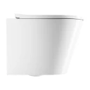 cuvette de WC murale avec abattant frein de chute, 52 x 36 cm