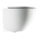 wall-mounted toilet with soft-close seat, 54 x 37 cm