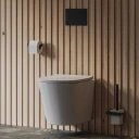 wall-mounted toilet with soft-close seat, 52 x 36 cm