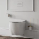 wall-mounted toilet brush