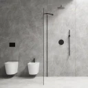 shower system for concealed installation